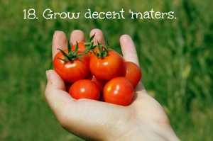 tomatoes with text
