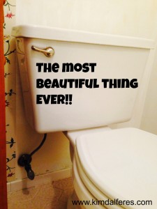 behind the toilet with text