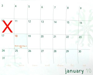 january calendar with red X