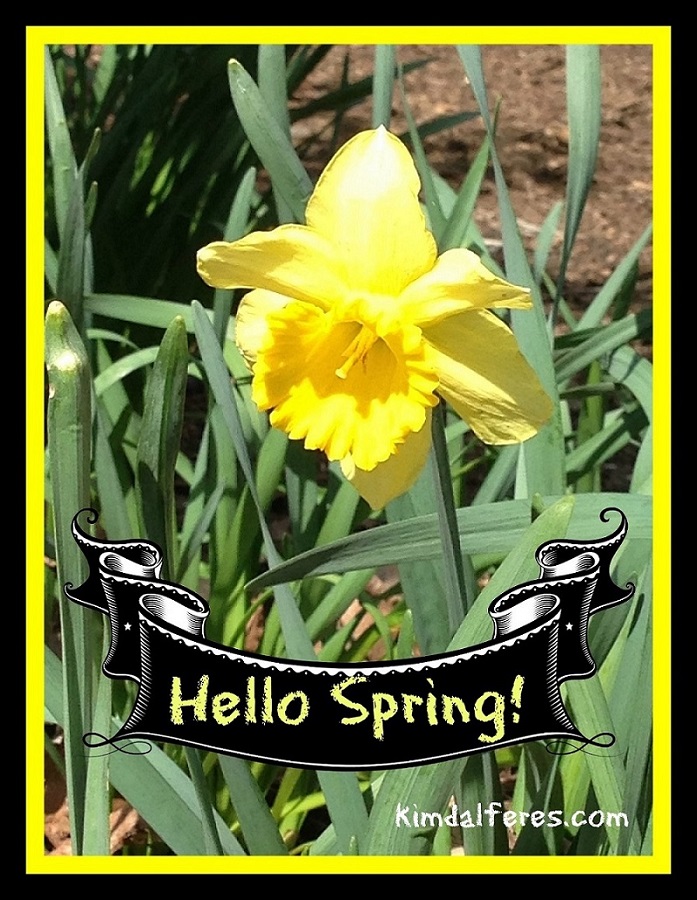 hello spring with text